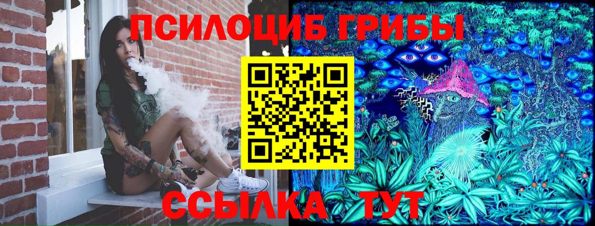 Псилоцибиновые грибы мухоморы Новосибирск