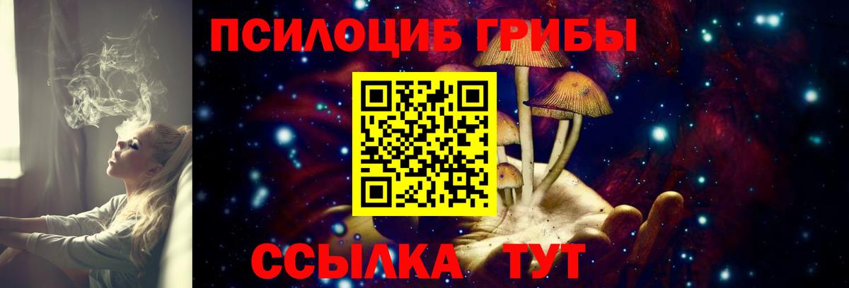 Галлюциногенные грибы Psilocybe  где купить   Новосибирск  Вход с VPN 